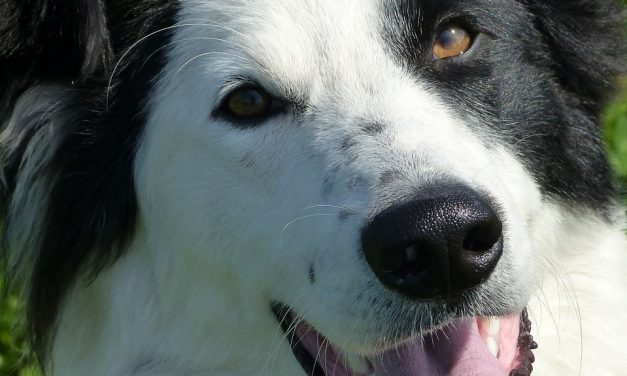 Csak akkor árulom el…!